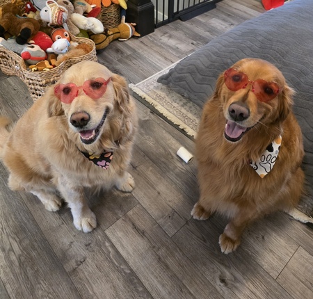 Entry image for Luke and Quinn. Clicking this image will show a larger photo