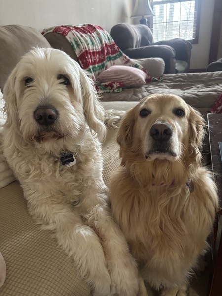 Entry image for Sebastian and lily. Clicking this image will show a larger photo