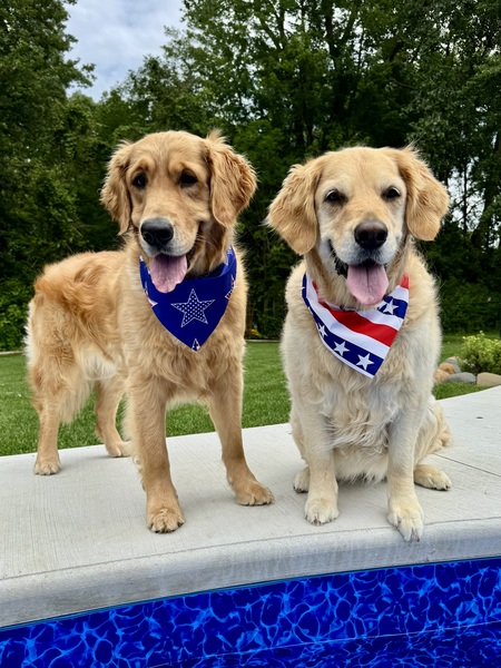 Entry image for Rula and Remy. Clicking this image will show a larger photo
