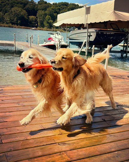 Entry image for Mason & Milo. Clicking this image will show a larger photo
