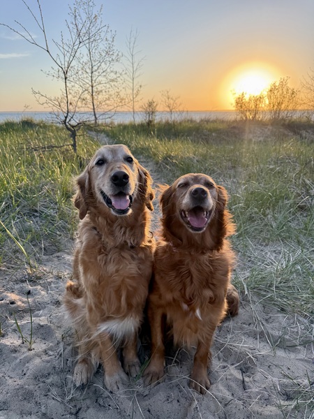 Entry image for Zephyr & Maple. Clicking this image will show a larger photo