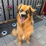 Entry image for Skye