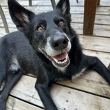 Entry image for Murphy