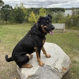Entry image for Beren