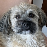 Entry image for Teddy