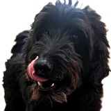Entry image for Sully