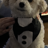Entry image for Sparky