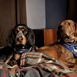 Entry image for Willow and Buck