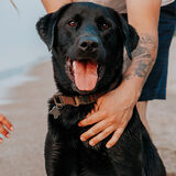 Entry image for Billy