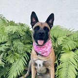Entry image for Maggie 