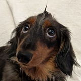 Entry image for Betty