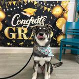 Entry image for Nora
