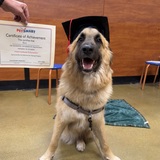 Entry image for Gus