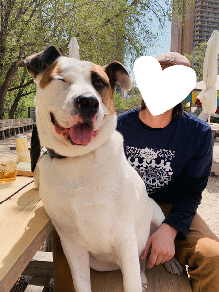 Entry image for Honey. Clicking this image will show a larger photo