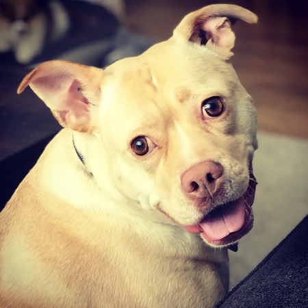 Entry image for Zoe. Clicking this image will show a larger photo