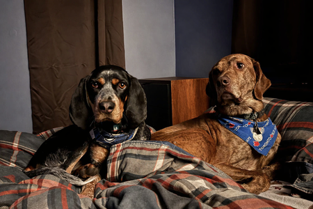 Entry image for Willow and Buck. Clicking this image will show a larger photo