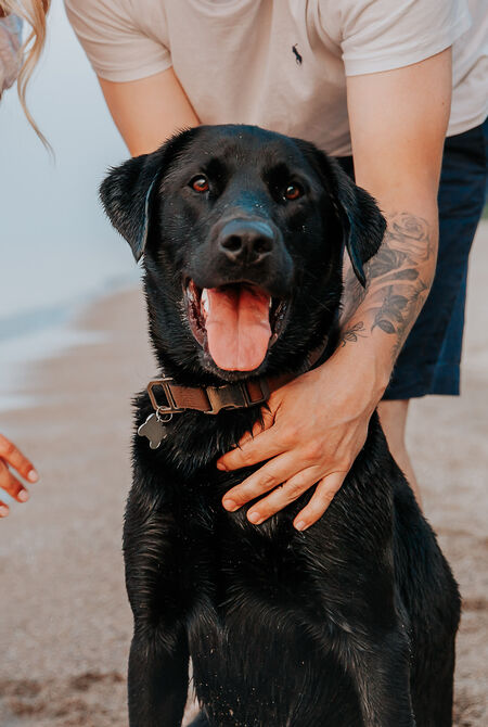 Entry image for Billy. Clicking this image will show a larger photo