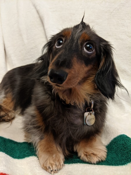 Entry image for Betty. Clicking this image will show a larger photo