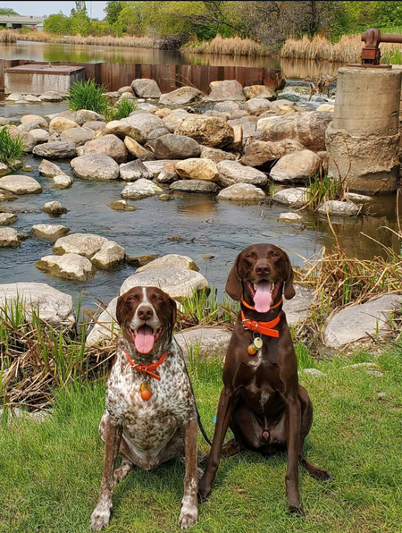 Entry image for Remi & Reno. Clicking this image will show a larger photo