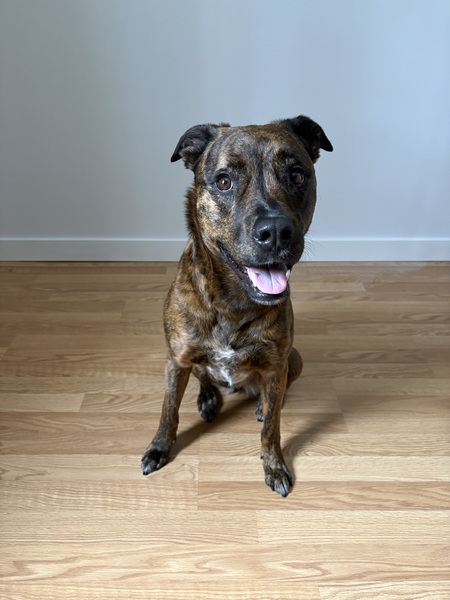 Entry image for Kacy. Clicking this image will show a larger photo