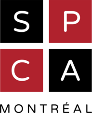 Logo for Concours calendrier 2027 de la SPCA de Montréal | Montreal SPCA 2027 Calendar Photo Contest