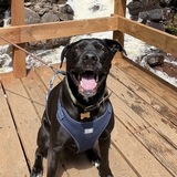 Entry image for ZEKE