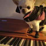 Entry image for Loulou 