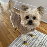 Entry image for Reese