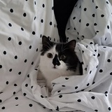 Entry image for Leeloo