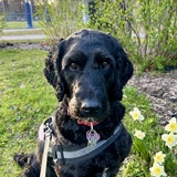Entry image for Nora