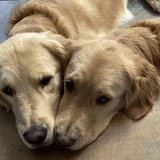 Entry image for Milo et Louna