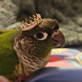 Entry image for Murphy 