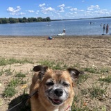 Entry image for Sunny