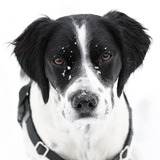 Entry image for Chloe
