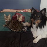 Entry image for Jin, Athena, Stella et Mayumi