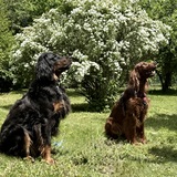 Entry image for Sofia et Alice