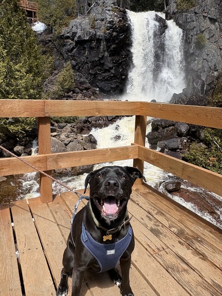 Entry image for ZEKE. Clicking this image will show a larger photo