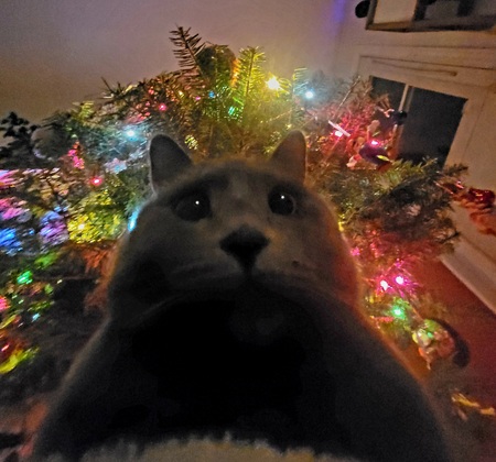 Entry image for Walter. Clicking this image will show a larger photo
