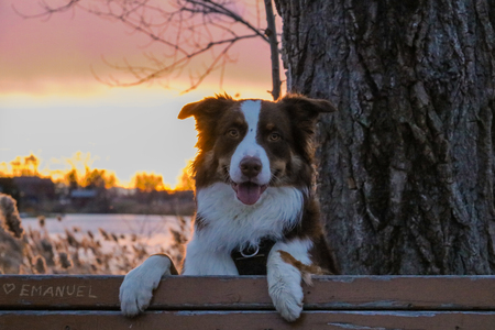 Entry image for Cielo Martinez. Clicking this image will show a larger photo
