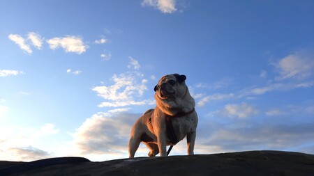 Entry image for Tété. Clicking this image will show a larger photo