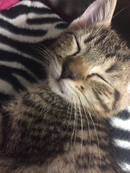 Lucy
