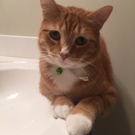 Tigger