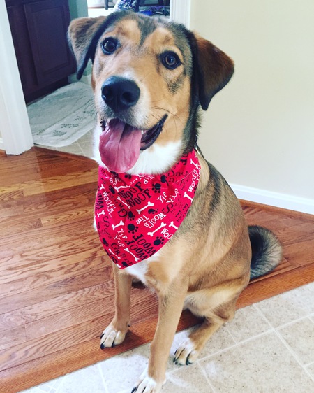 Benny