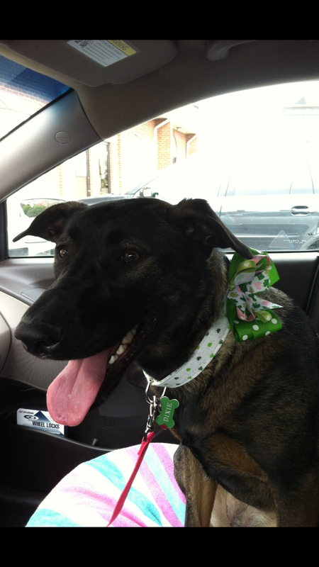Dixie 
