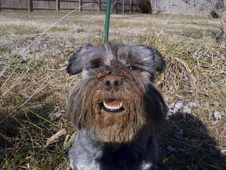 Tessie