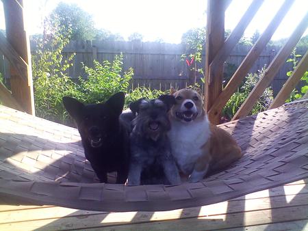 Persy Tessie and Georgi