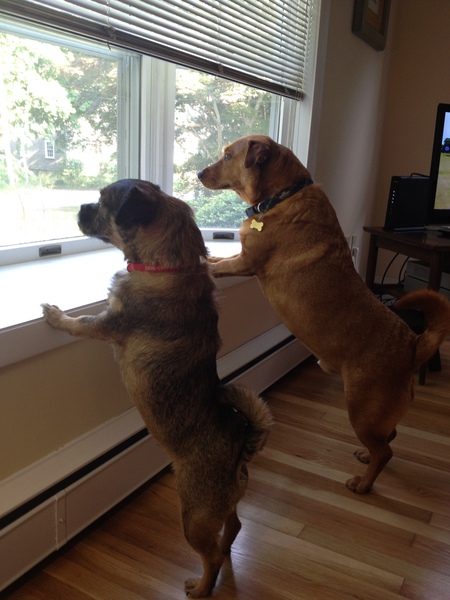 Elvis and Gunny