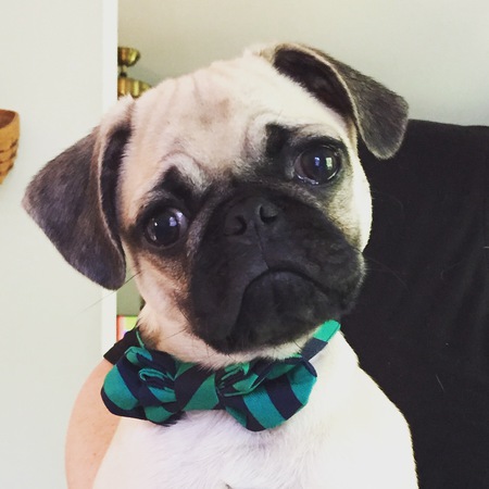 Mr. Watson