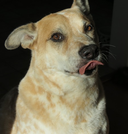 Riley