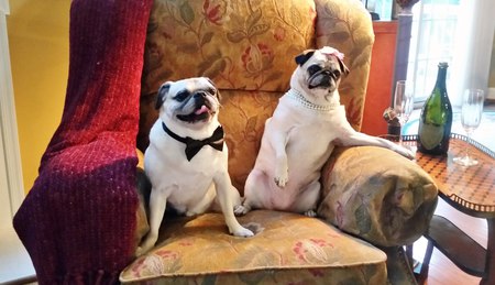 Alvin and Layla